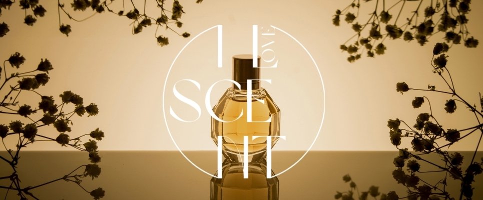 Peluang Bisnis Parfum: Dari Gaya Hidup Jadi Sumber Cuan Menjanjikan!