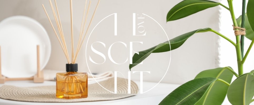 Inspirasi Aroma Reed Diffuser untuk Rumah Lebih Tenang dan Berenergi