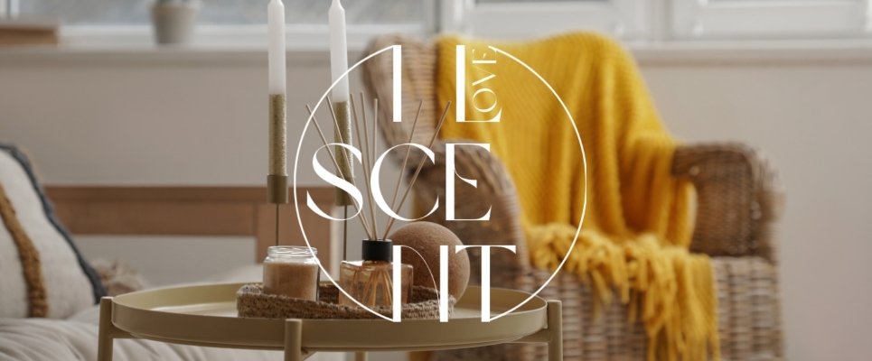 Cara Merawat Reed Diffuser Supaya Awet dan Aromanya Tetap Kuat