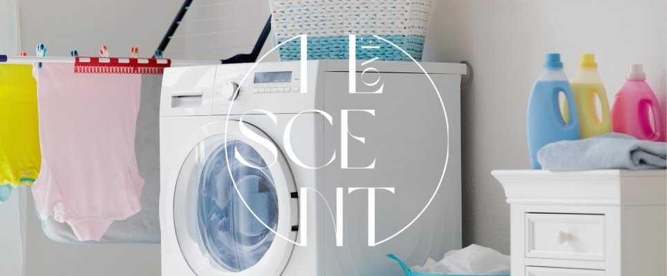 Jenis dan Tingkatan Wangi Parfum Laundry yang Wajib Diketahui Pebisnis Laundry