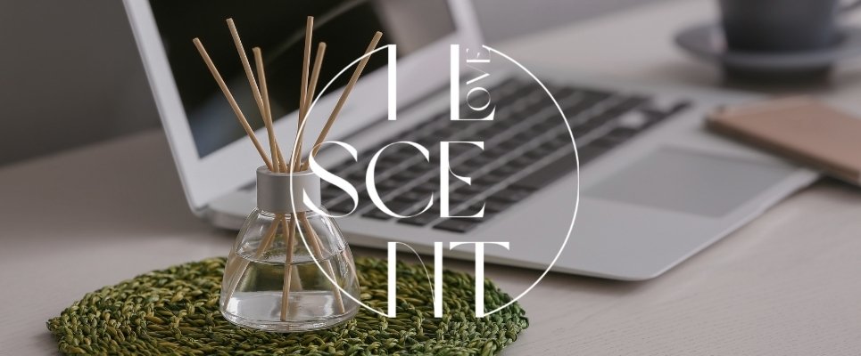 Alasan Reed Diffuser Tidak Awet dan Tips Biar Tahan Lama