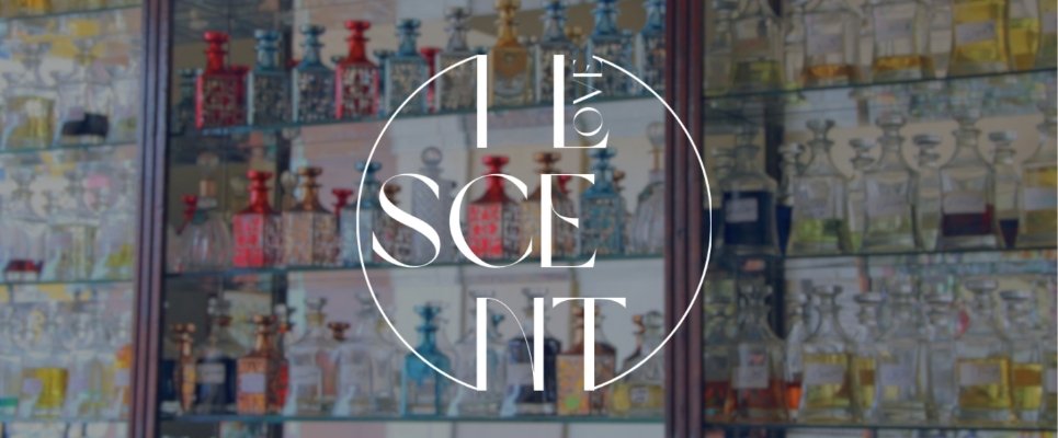 Langkah-Langkah Memulai Bisnis Parfum Bersama I Love Scent