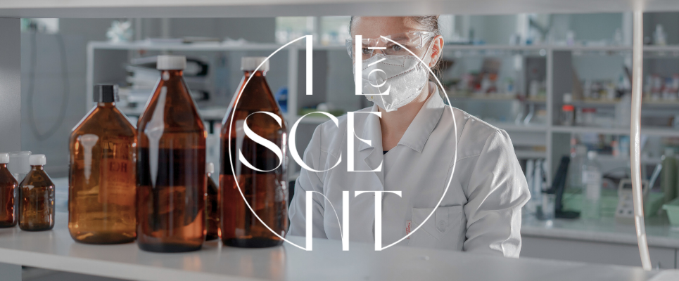 Jangan Keliru Pilih Pabrik Maklon Parfum yang Aman & Profesional