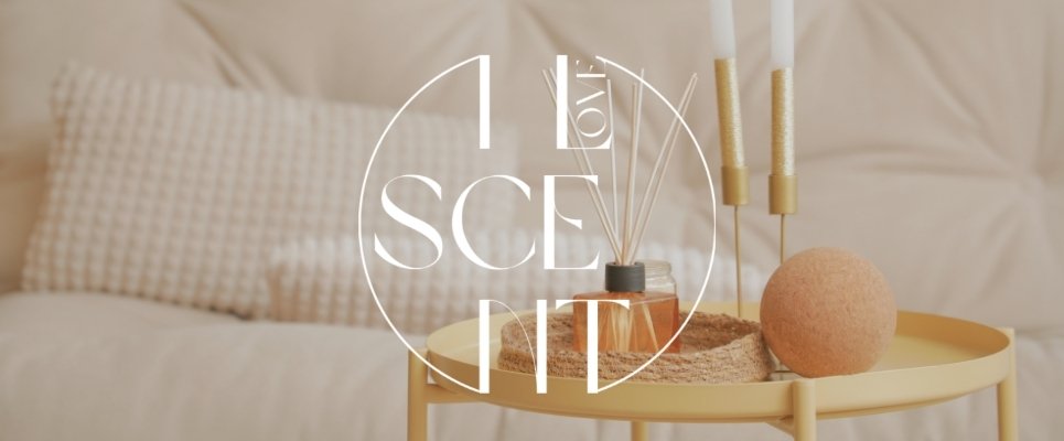 Daya Tarik Reed Diffuser dalam Dunia Home Fragrance